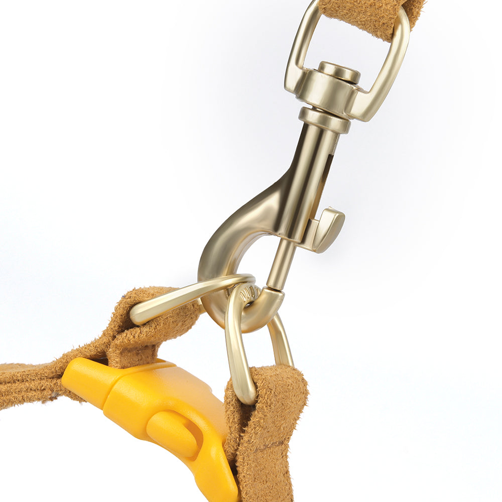 Pet Traction Rope Vest-Style Chest Harness Set: Ultimate Safety and Comfort for Your Pet