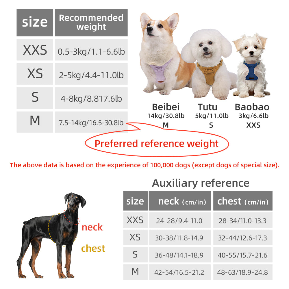 Pet Traction Rope Vest-Style Chest Harness Set: Ultimate Safety and Comfort for Your Pet