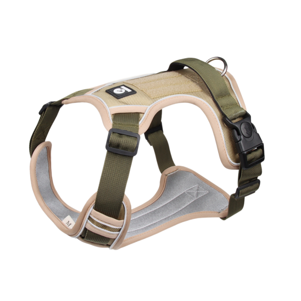 Dog Traction Rope and Chest Harness: Ultimate Safety and Comfort for Your Large Dog