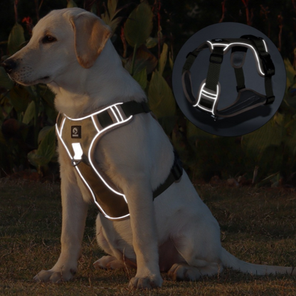 Dog Traction Rope and Chest Harness: Ultimate Safety and Comfort for Your Large Dog