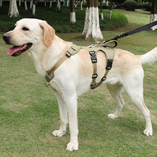 Dog Traction Rope and Chest Harness: Ultimate Safety and Comfort for Your Large Dog