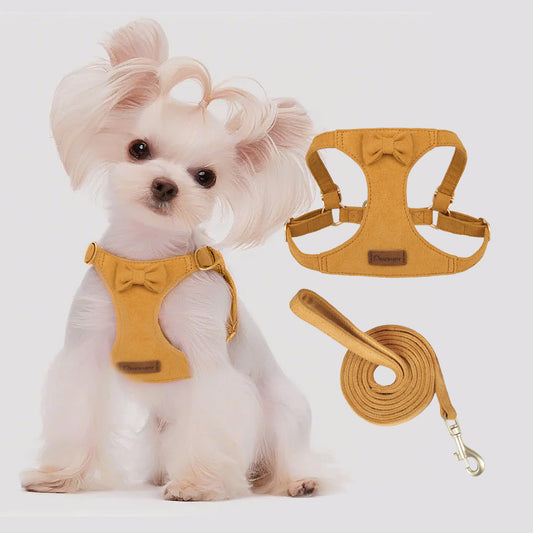 Pet Traction Rope Vest-Style Chest Harness Set: Ultimate Safety and Comfort for Your Pet